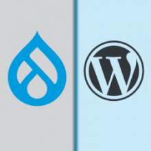 Drupal and wordpress logos
